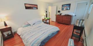 61 Palmer Street Gallery 12