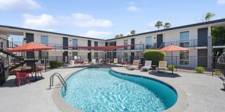 ReNew Biltmore Gallery 36