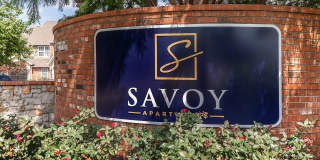 Savoy Gallery 54