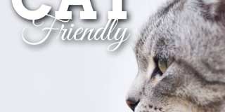 1333 Toole Avenue Gallery 5