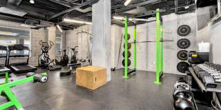 Tennyson Place Gallery 7