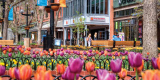 Meadow Creek Apartments Gallery 24