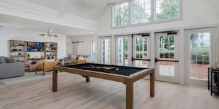 Steeplechase Gallery 46