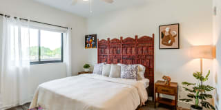 Zona Village Gallery 6