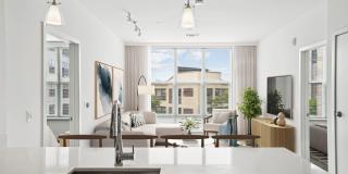 West of Chestnut Gallery 2