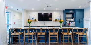 Spring Water Gallery 15