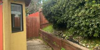A Must See Roseville 3 Bedroom, 2 bath Home Gallery 29
