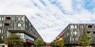 Lamar Union Gallery 68