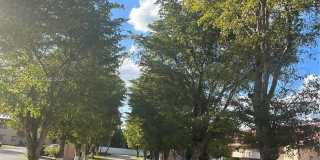 260 NW 107th Ave Gallery 8