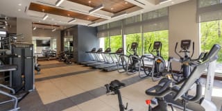 The Lindley Gallery 32