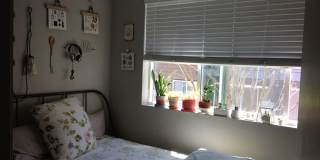 Westwood Apartments Gallery 203