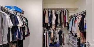 386 Larksong Avenue Gallery 42