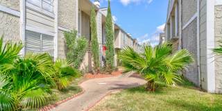 Pelicans Landing Gallery 25