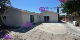 6346 Escallonia Drive Gallery 32