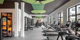 Aventon Cary Gallery 13