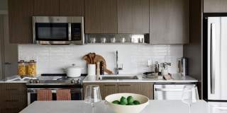 South Standard Gallery 2