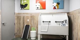 Jade at North Hyde Park Gallery 18