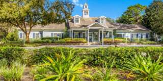 St. Johns Forest Gallery 9