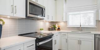 Alta Citron Gallery 78