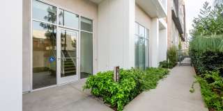 Essence Essence Gallery 50