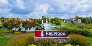 Redwood Zeeland Gallery 3