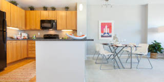 The Grand Gallery 15