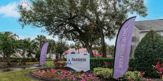 Advenir at the Oaks Gallery 24