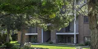 Peaks on Redwood Gallery 17