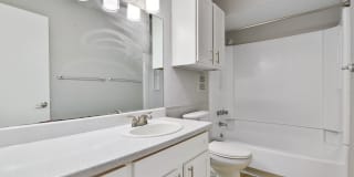 The Bruin Gallery 16