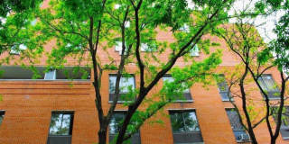 270 W 22nd Street Gallery 1