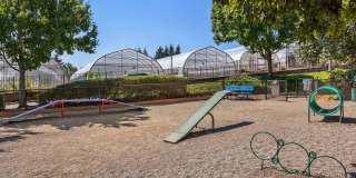 81 Fifty at West Hills Gallery 21