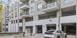 Camden Carolinian Gallery 35