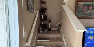 Fantastic!  Light and Bright!  1 bed + loft - 1 bath Gallery 30