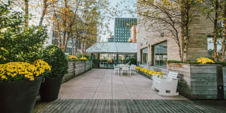 Murray Hill Tower Gallery 1