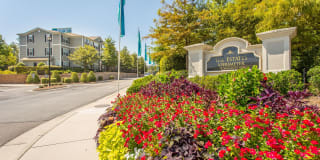 The Estates at Perimeter Gallery 2