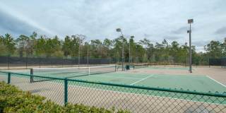 16022 WILLOW BLUFF Court Gallery 43