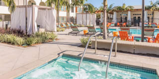 The Seaton Gallery 13