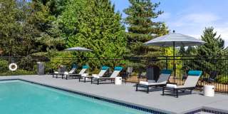 Montair at Somerset Hill Gallery 13