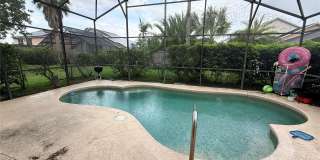 2918 BLOOMING ALAMANDA Loop Gallery 24