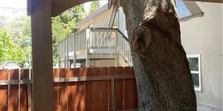 29392 Lake View Gallery 42