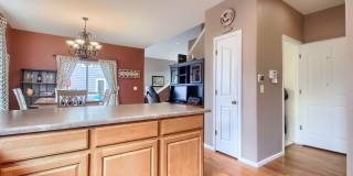 Highlands Ranch Spacious 3 bed 2.5 bath Gallery 17