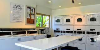 La Jolla Canyon Gallery 32