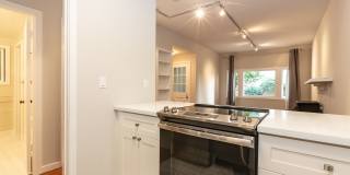 Pacific Heights: 2140 Lyon St. - Remodeled Garden Apartment w/ Shared Patio One Block from the Presidio Gallery 12