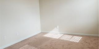 334 Trestle Tree Gallery 21