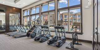 Lakeview at the Gates of Prosper Gallery 52