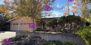 893 Appaloosa Drive Gallery 1