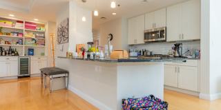 Charming 3 Bedroom-No Broker Fee Gallery 4