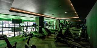 The Chelsea Gallery 20