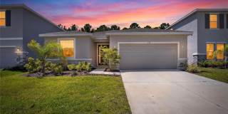 152 BRIGHT IBIS Avenue Gallery 2