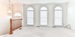 21759 LADYSLIPPER Square Gallery 5